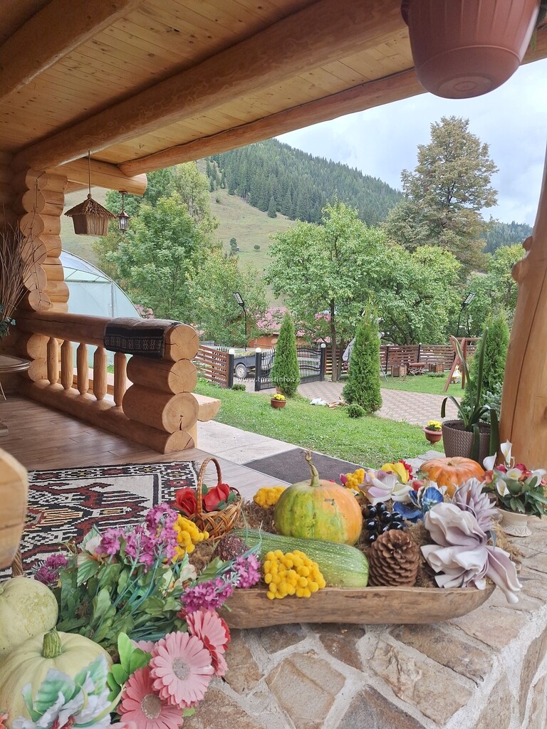 Cabana la Bălănuț