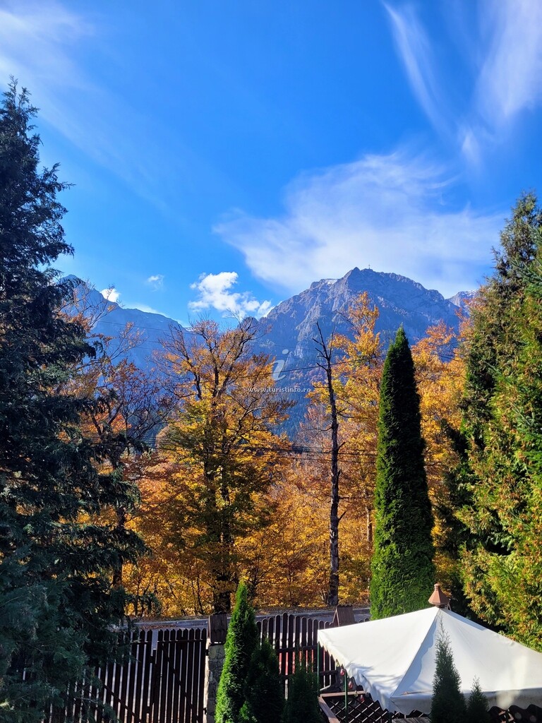 Casa de vacanță Cabana Bellavista