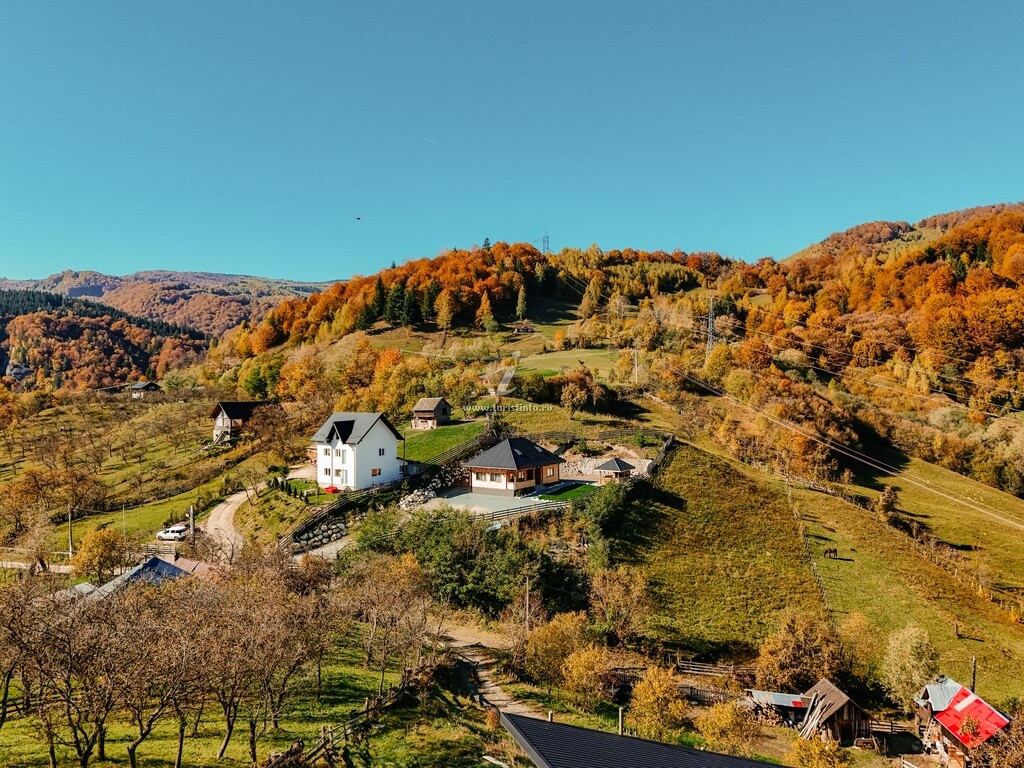 Vila Rucăr Chalet