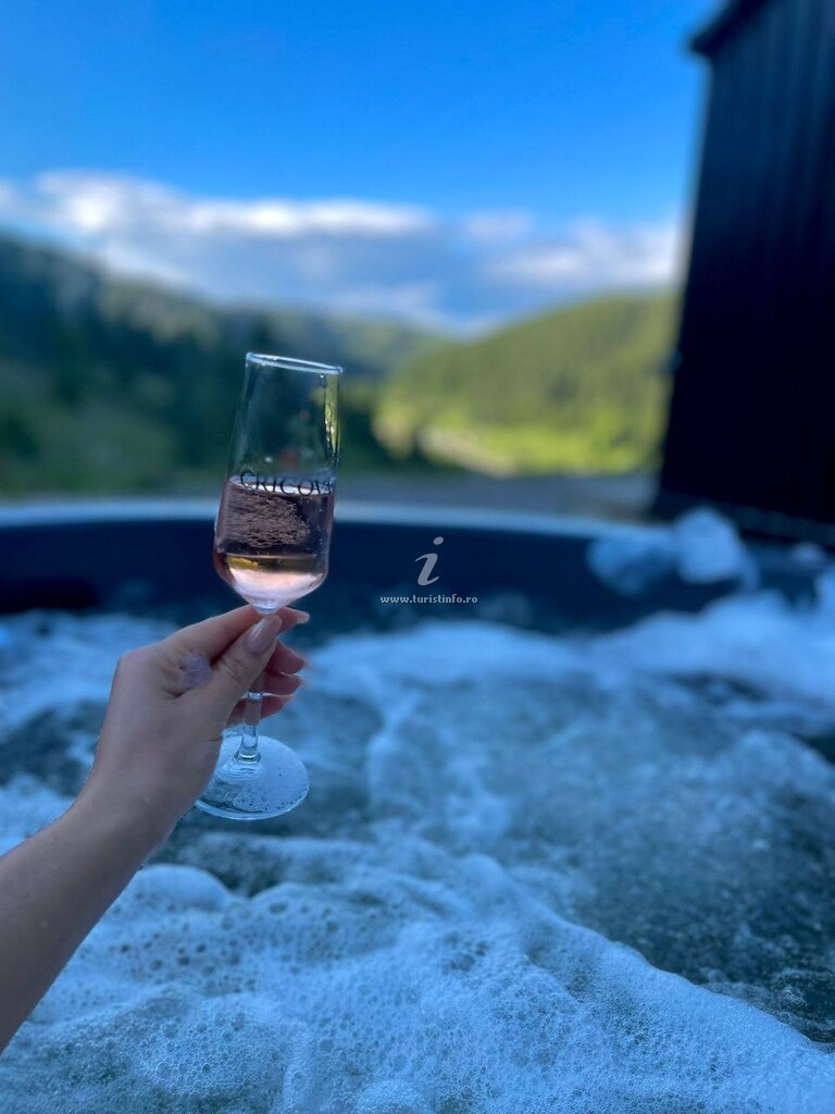 Casa de vacanță Cucu Zen
