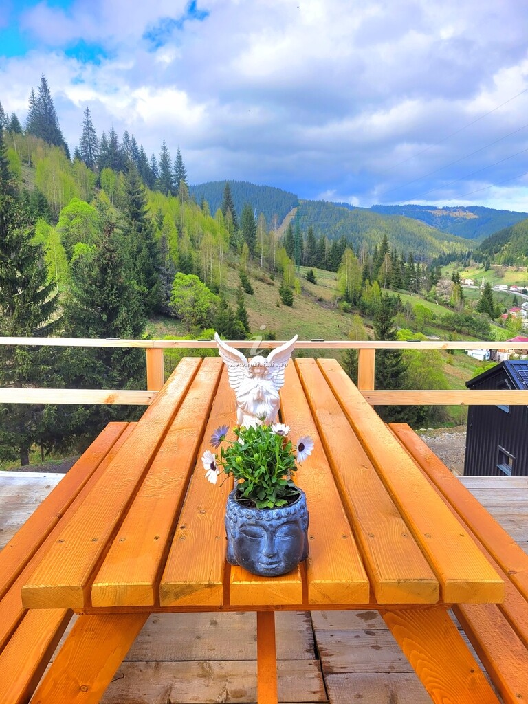 Casa de vacanță Cucu Zen