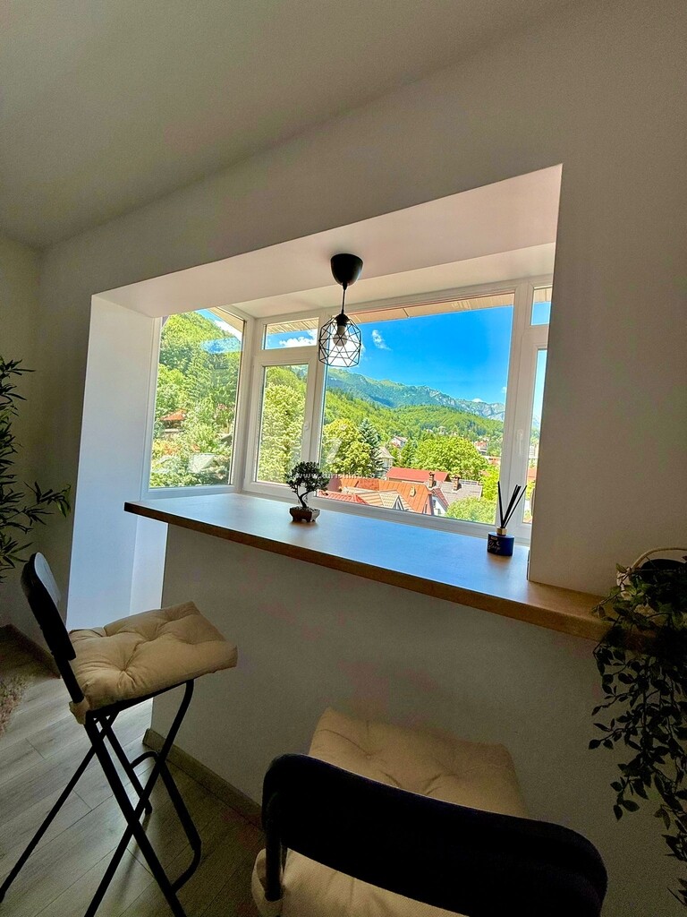 Apartament Mountain View