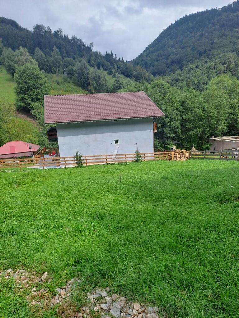 Camere de închiriat Tudor