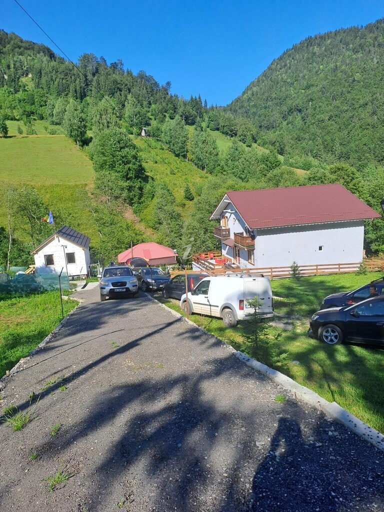 Camere de închiriat Tudor