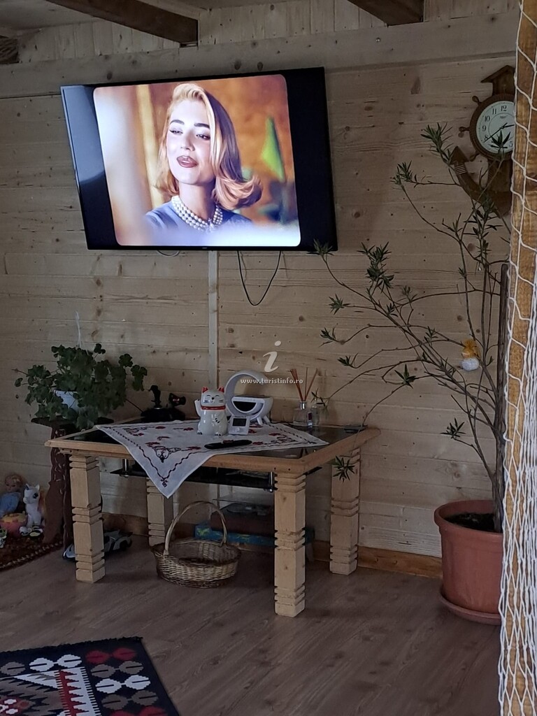 Camere de închiriat Tudor