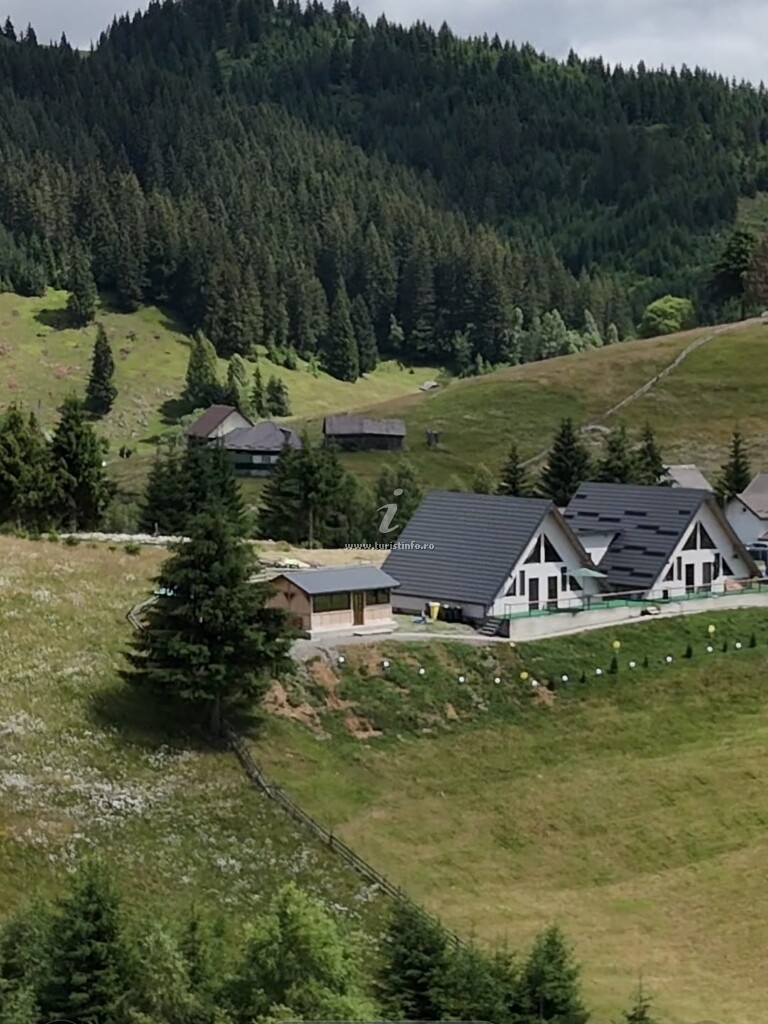 Casa de vacanță A-frame Valea Cerbilor
