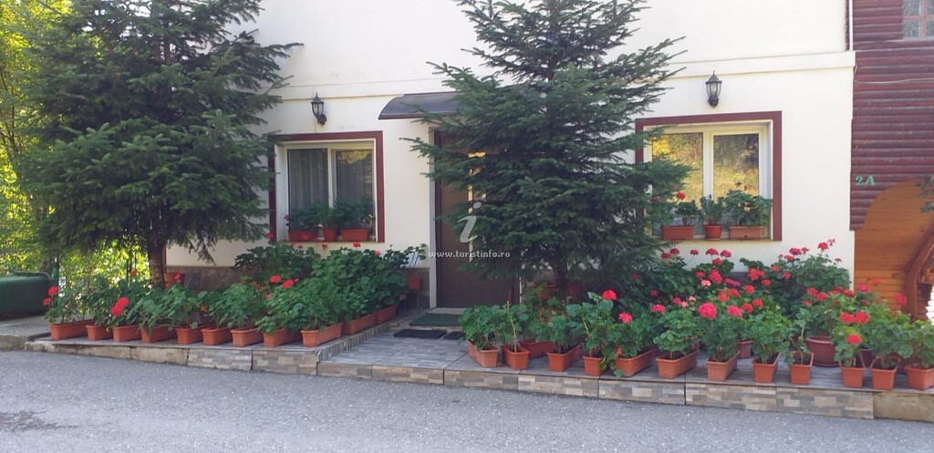 Casa Andrei