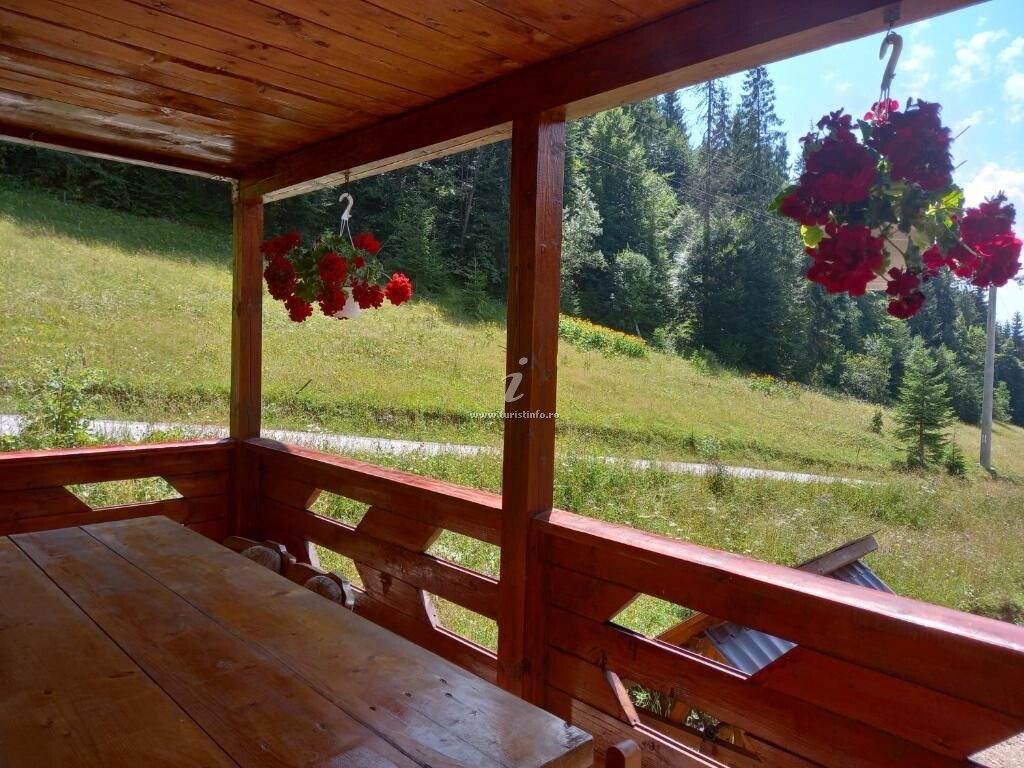 Cabana Sânziana