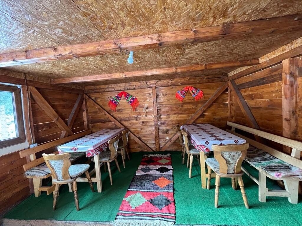 Cabana Sânziana