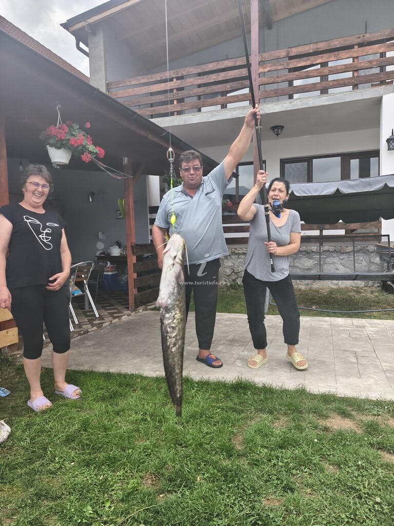Vila Smeu