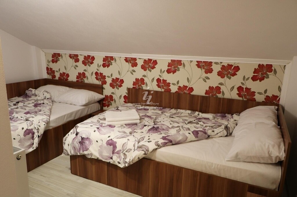 Casa de vacanță Casa Noastră A&A