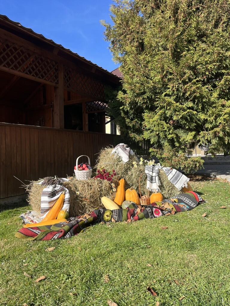 Camere de închiriat Casa Vicu
