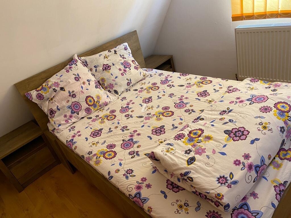 Casa de vacanță Lupul Dacic