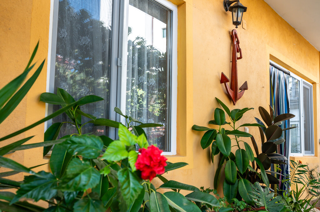 Casa Amalia