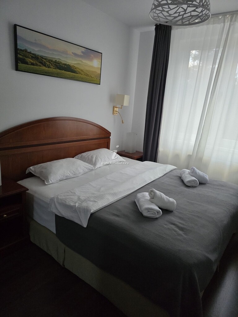 Altapura Păltiniș