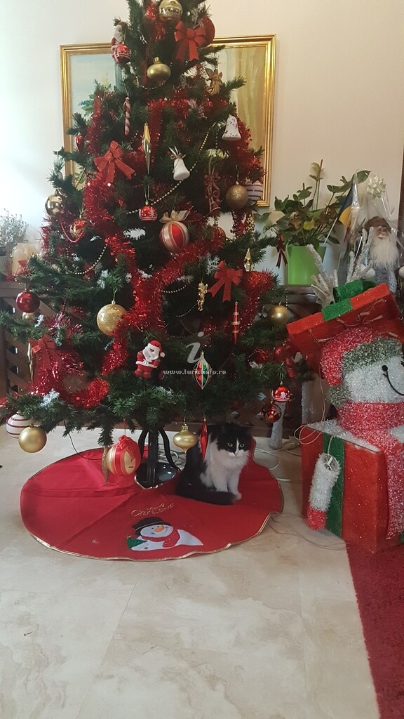 Camere de închiriat Casa Luce