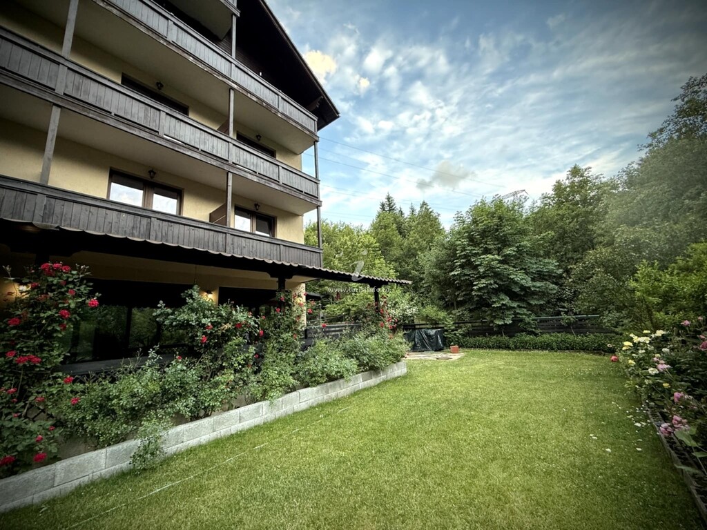 Camere de închiriat Casa Luce