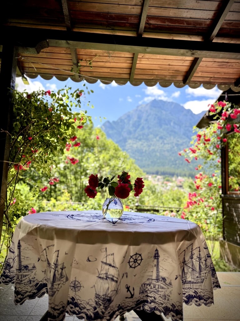 Camere de închiriat Casa Luce