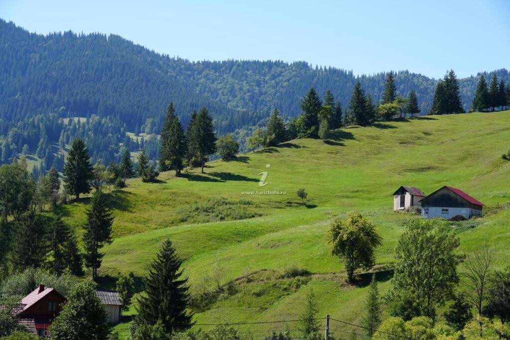 Casa de vacanță Căsuța Core
