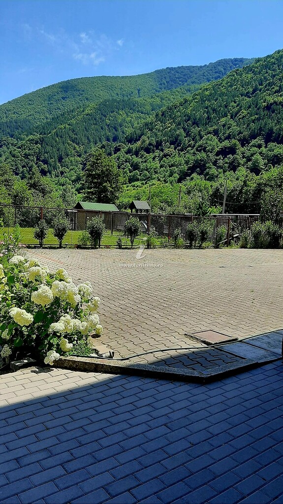 Pensiunea Masa Verde