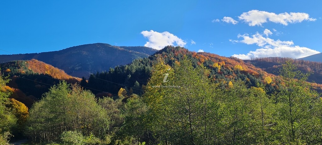 Pensiunea Masa Verde
