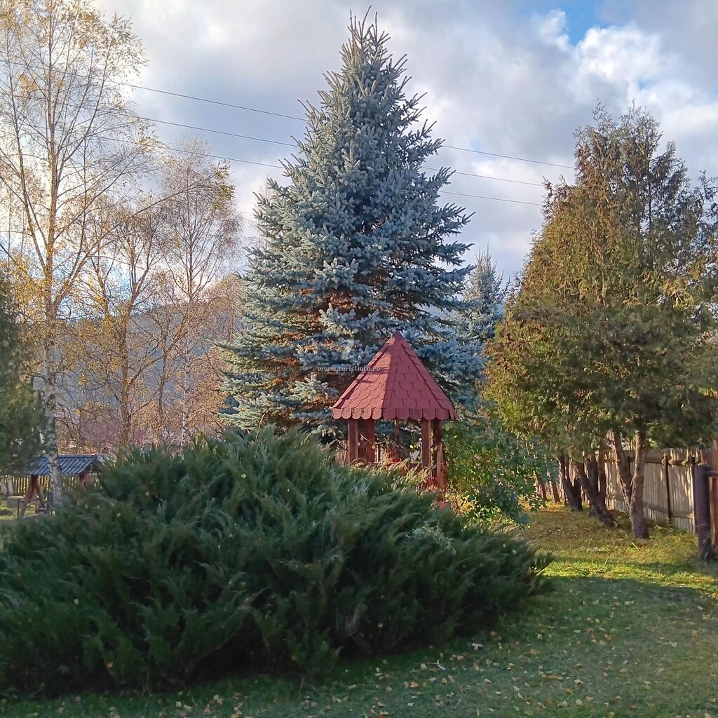 Pensiunea Agroturistică Valea Dornelor