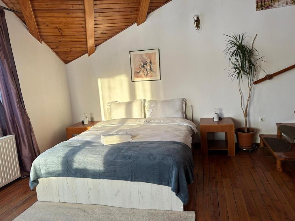 Camere de închiriat Ambra`s  Rooms