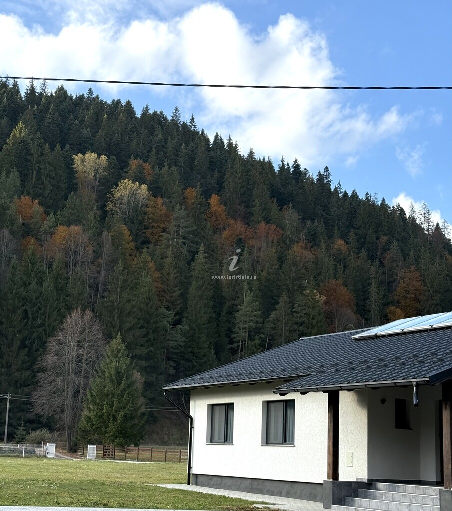 Camere de închiriat Toplița Nature Hub