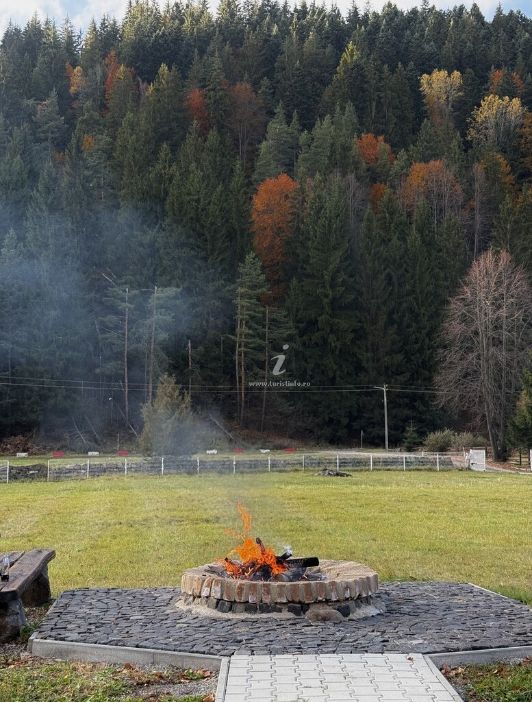 Camere de închiriat Toplița Nature Hub