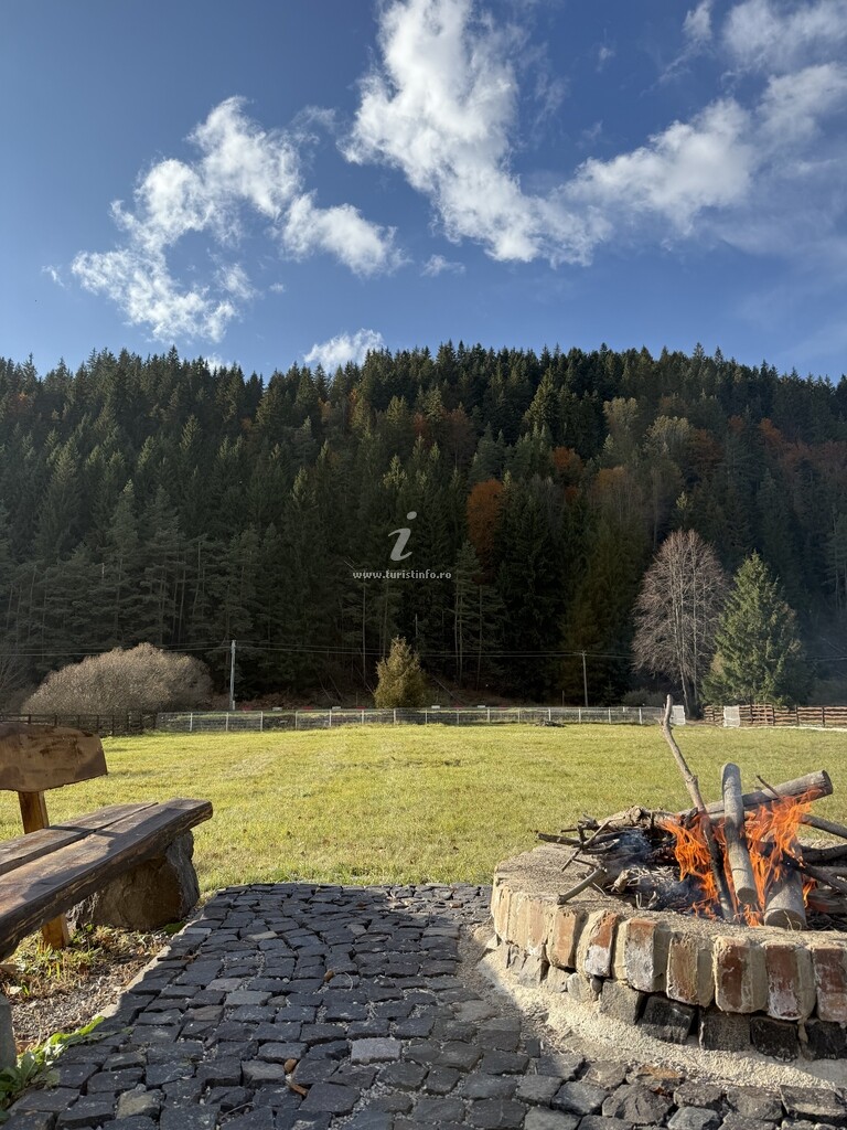 Camere de închiriat Toplița Nature Hub