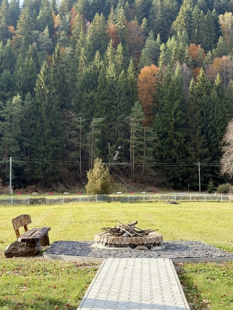 Camere de închiriat Toplița Nature Hub