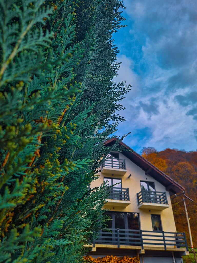 Casa din Luncă