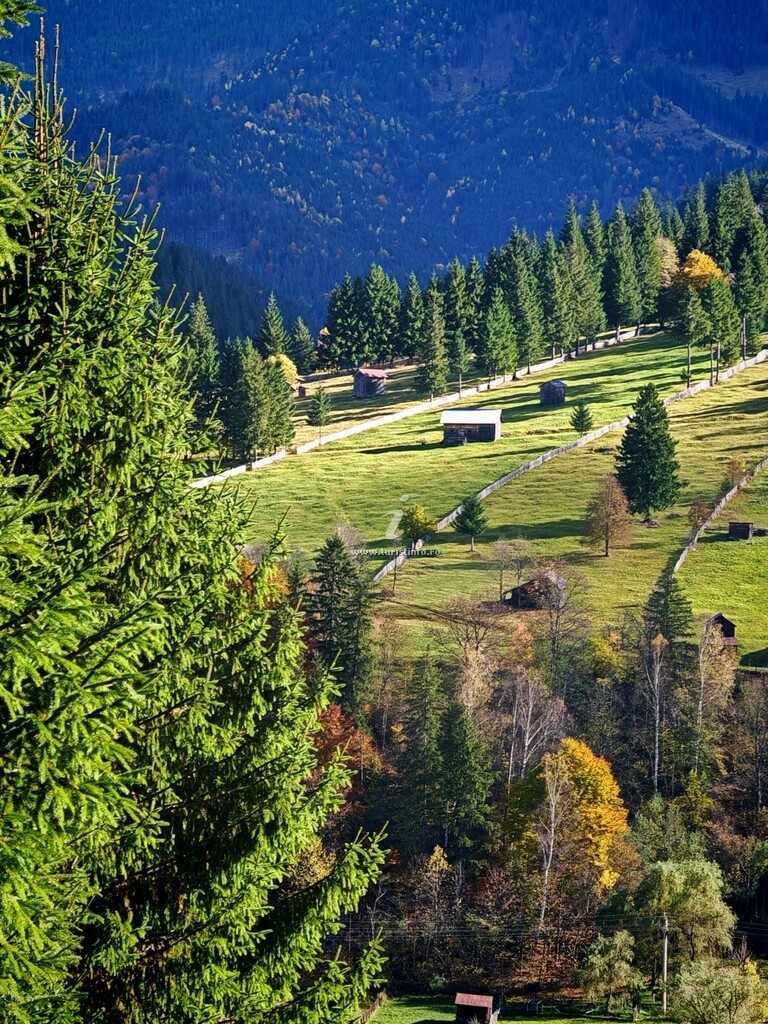 Pensiunea la Pridvor cu Dor