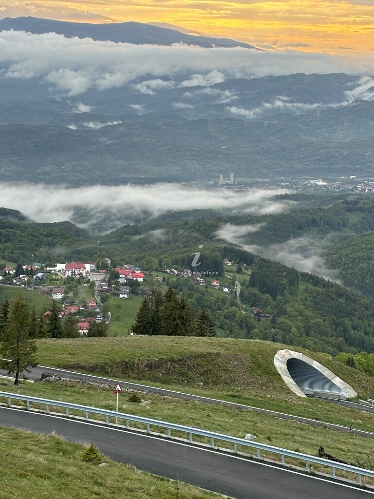 Cabana Plai