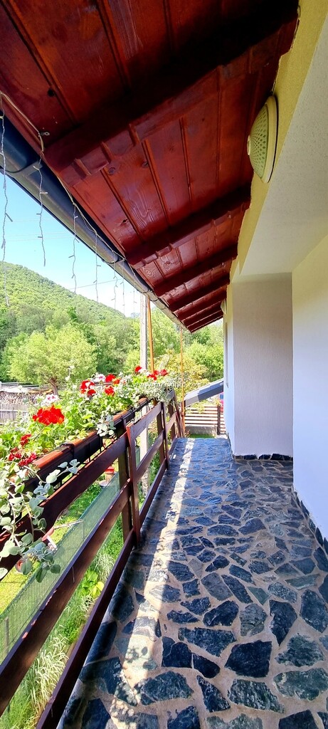 Camere de închiriat Casa Florea
