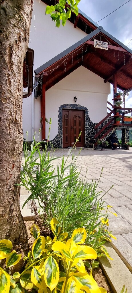 Camere de închiriat Casa Florea