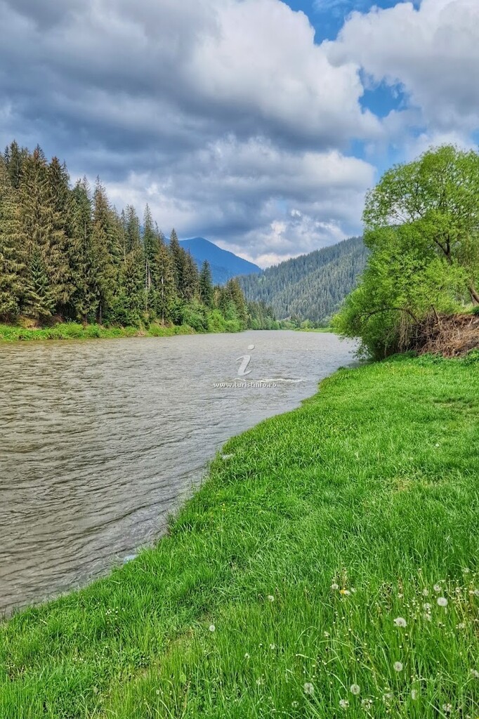 Bucovina Glamping