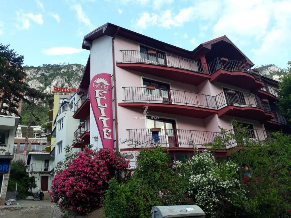 Hostel Elite