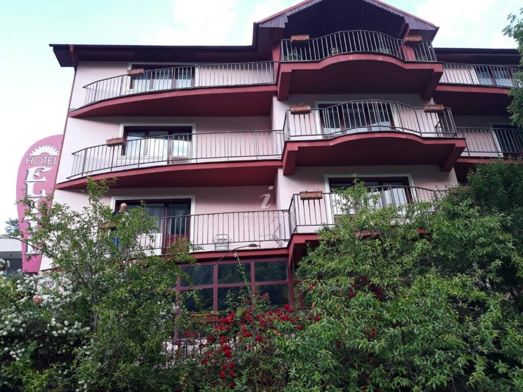 Hostel Elite