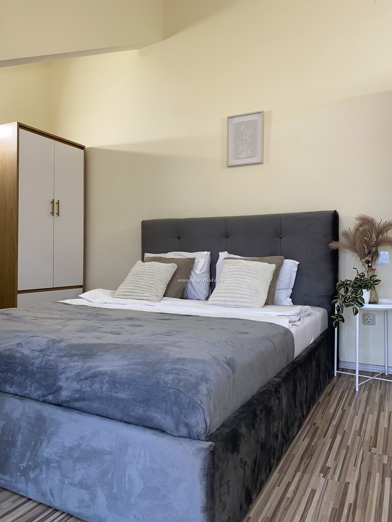 Apartament Central