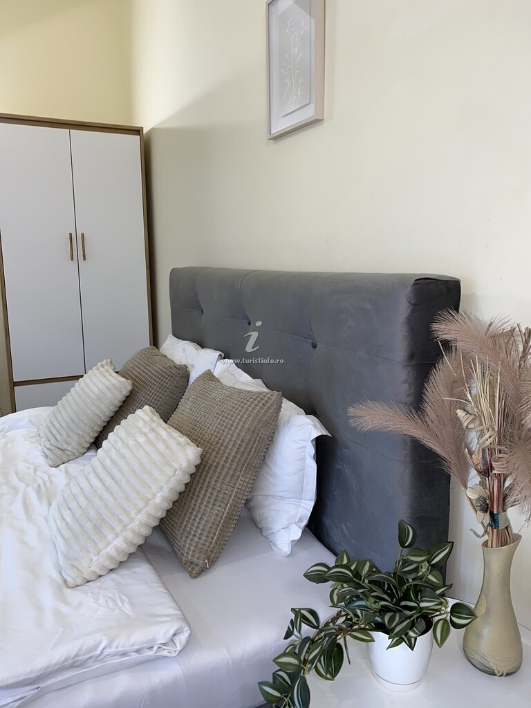 Apartament Central
