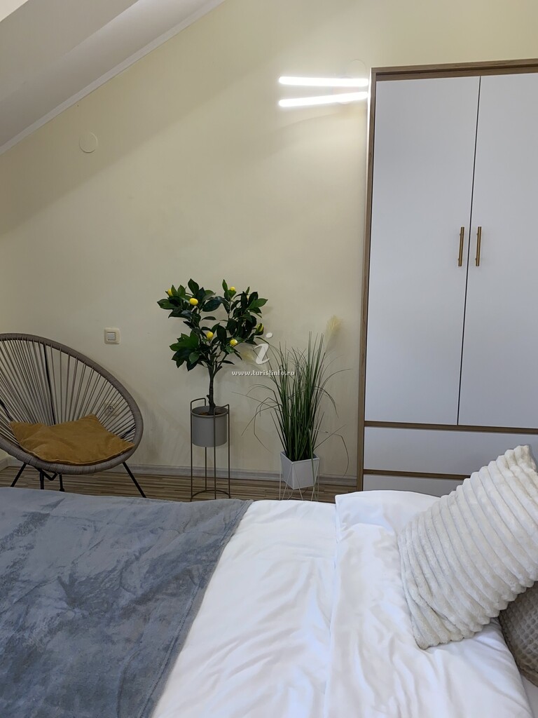 Apartament Central