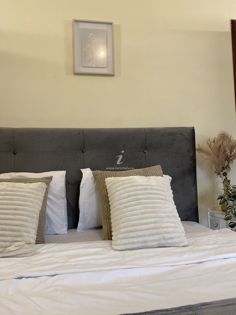 Apartament Central