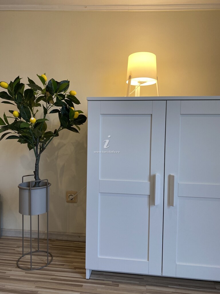 Apartament Central