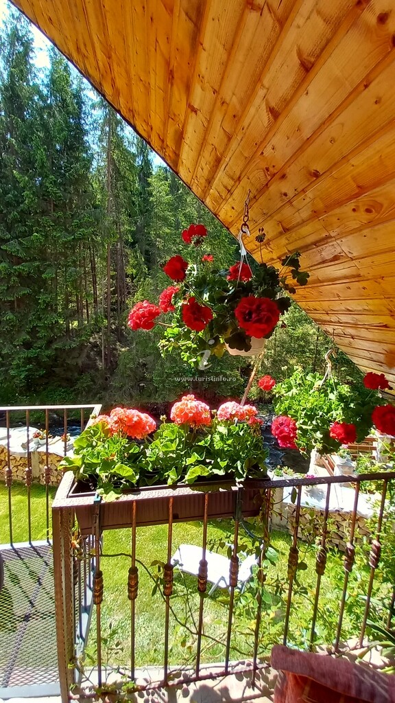 Camere de închiriat Diana