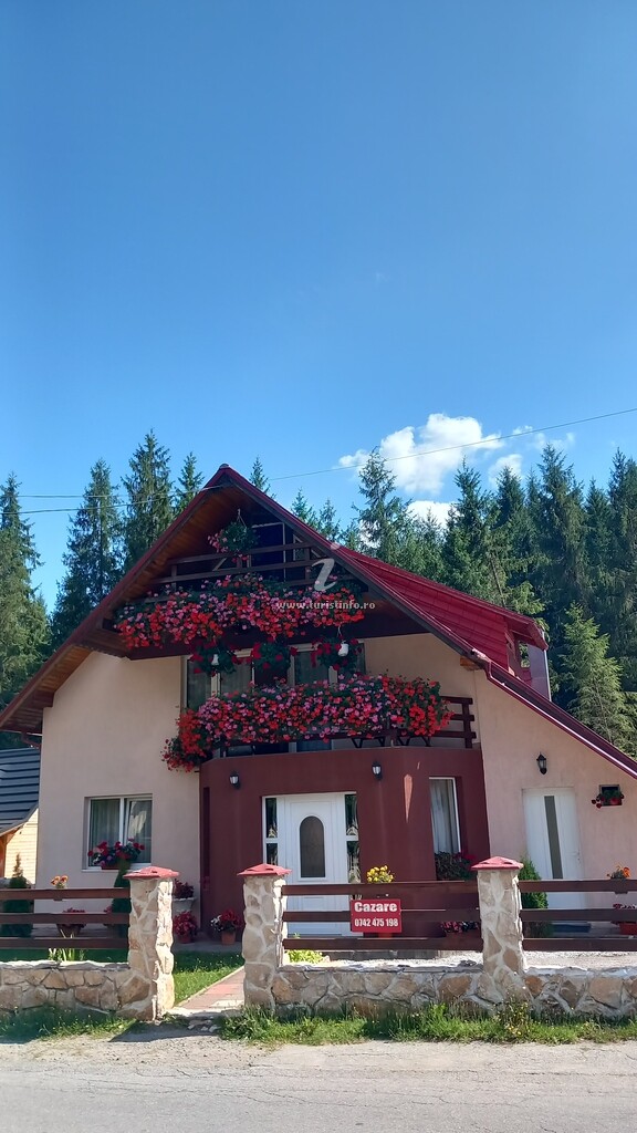 Camere de închiriat Diana