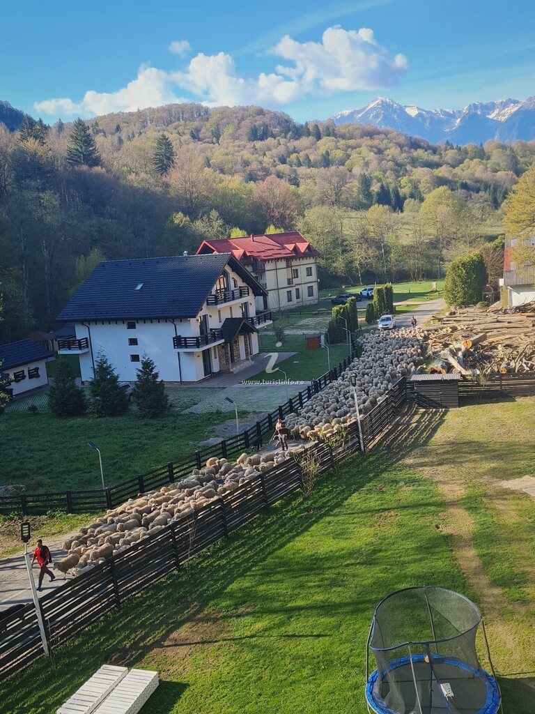 Casa Metzo