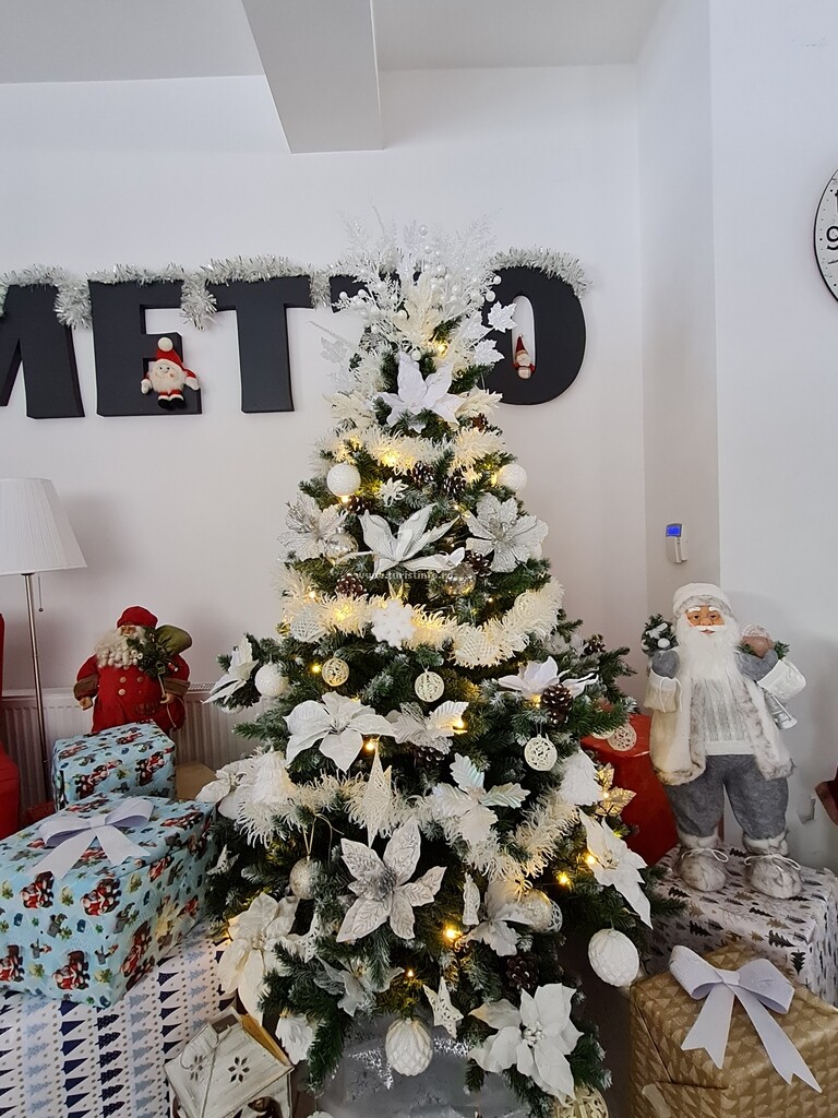 Casa Metzo