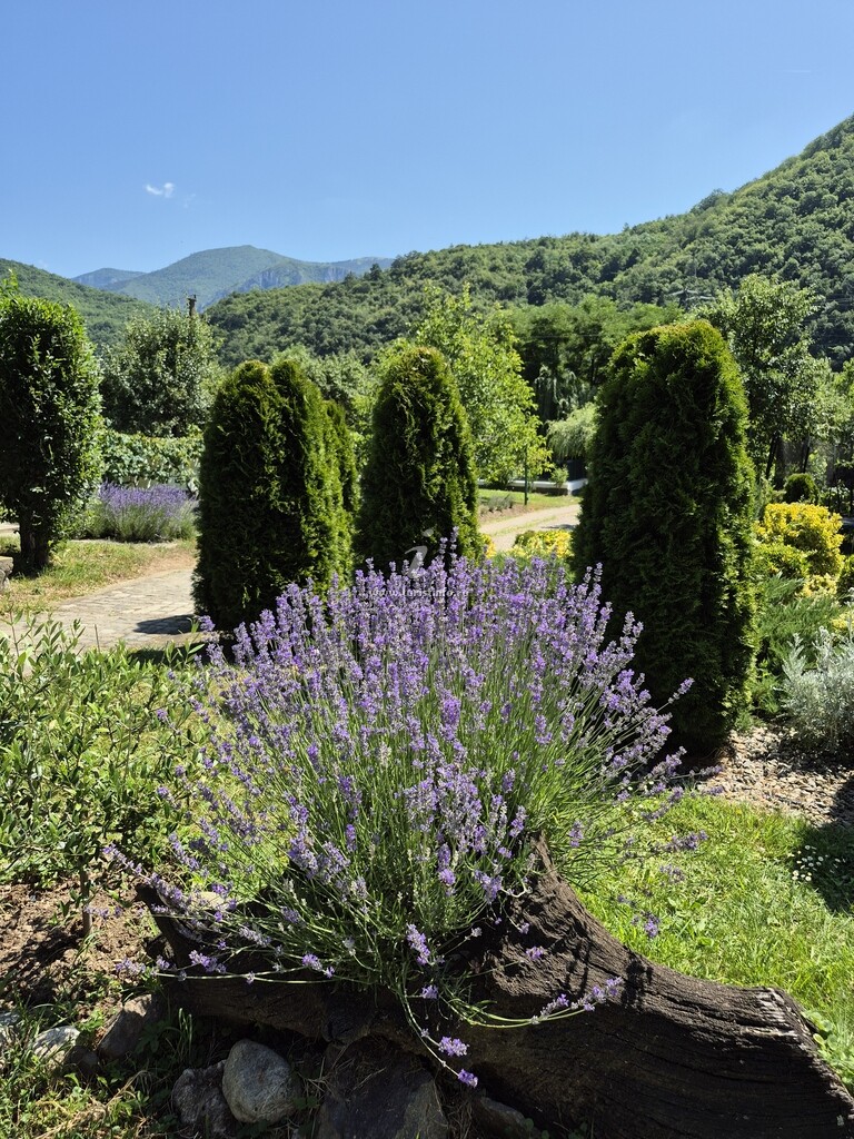 Natura Apartmens