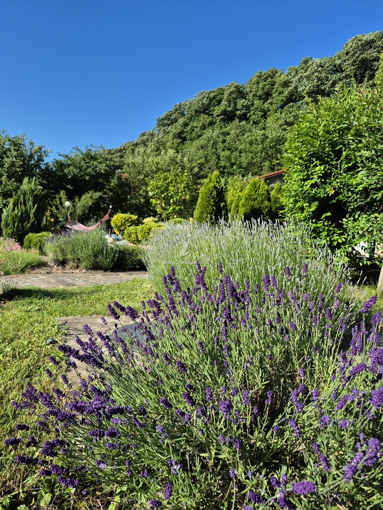 Natura Apartmens
